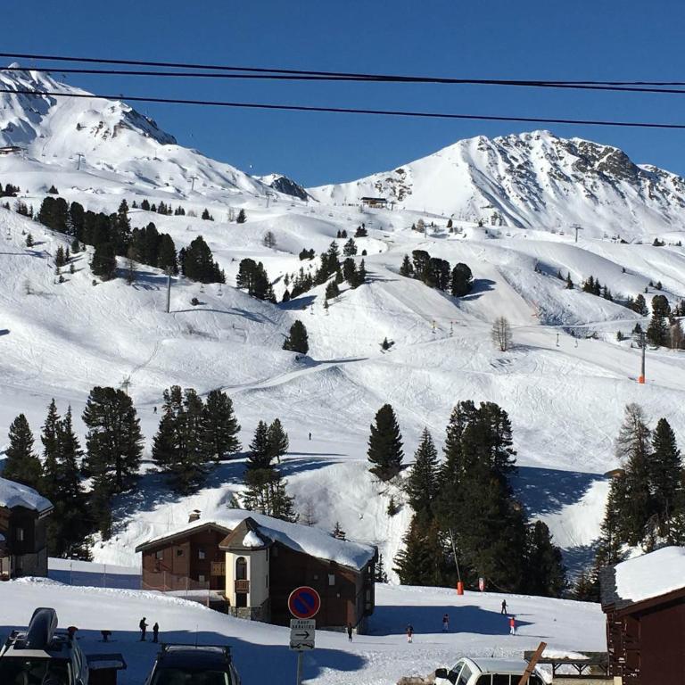 Studio chaleureux au centre, vue pistes, animaux acceptés - Studio - 3