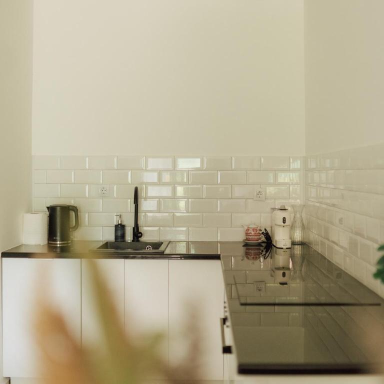 Boutique Apartment Mostar - Apartment with Terrace - 23