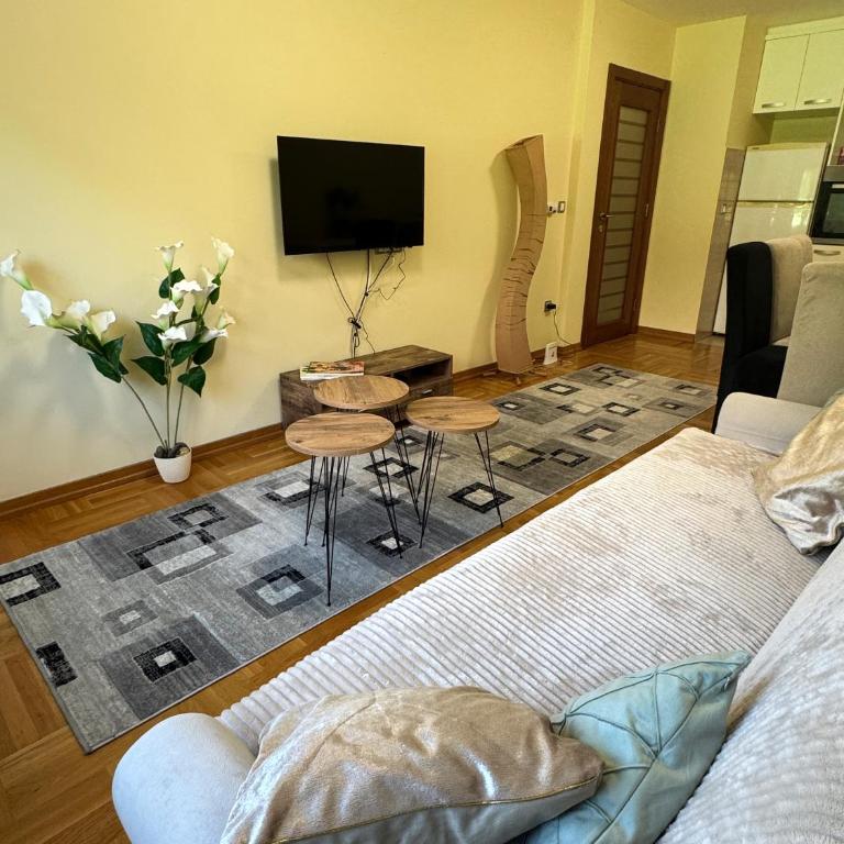 Vrnjacki kutak - Apartman sa 1 Spavaćom Sobom - 2