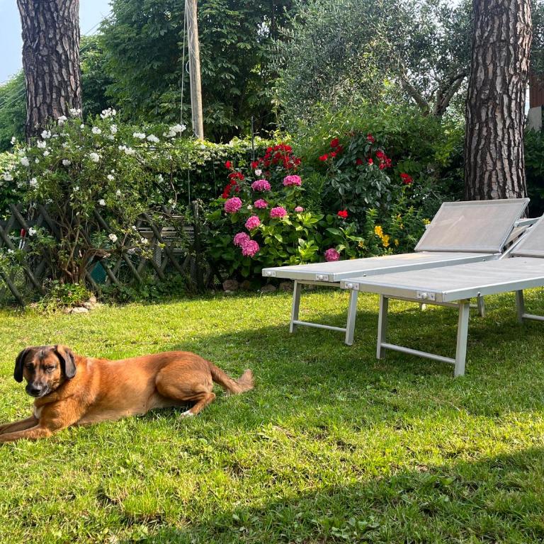 Appartamenti Garda Mulino - Appartamento con 2 Camere da Letto - 6