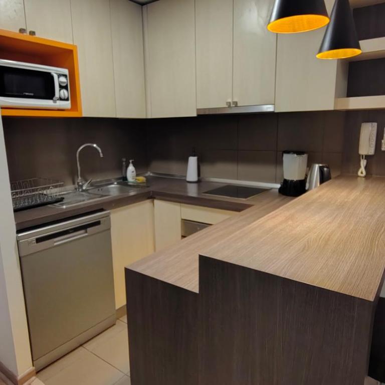Oceana Suites Morandé - One-Bedroom Apartment with Balcony - 10