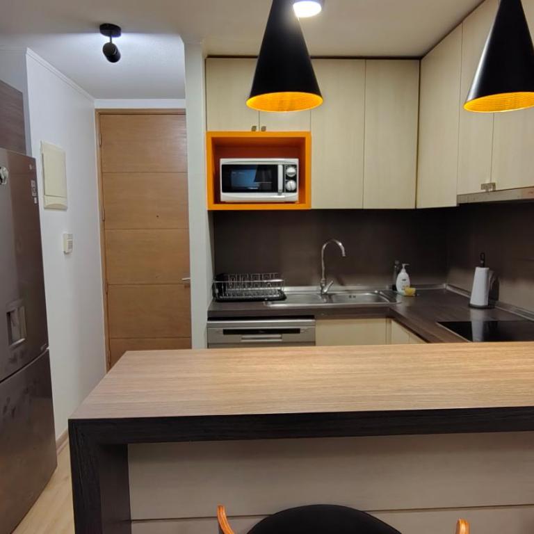 Oceana Suites Morandé - One-Bedroom Apartment with Balcony - 12