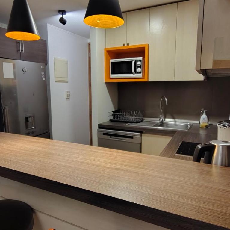Oceana Suites Morandé - One-Bedroom Apartment with Balcony - 9