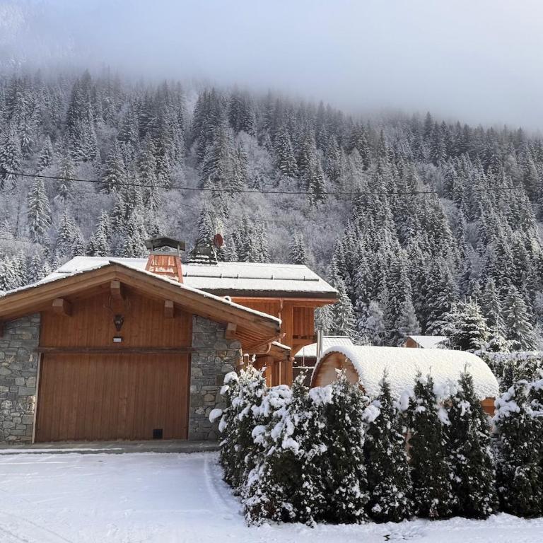 Premium 200sqm Chalet in Chamonix Valley ! - Chalet - 53
