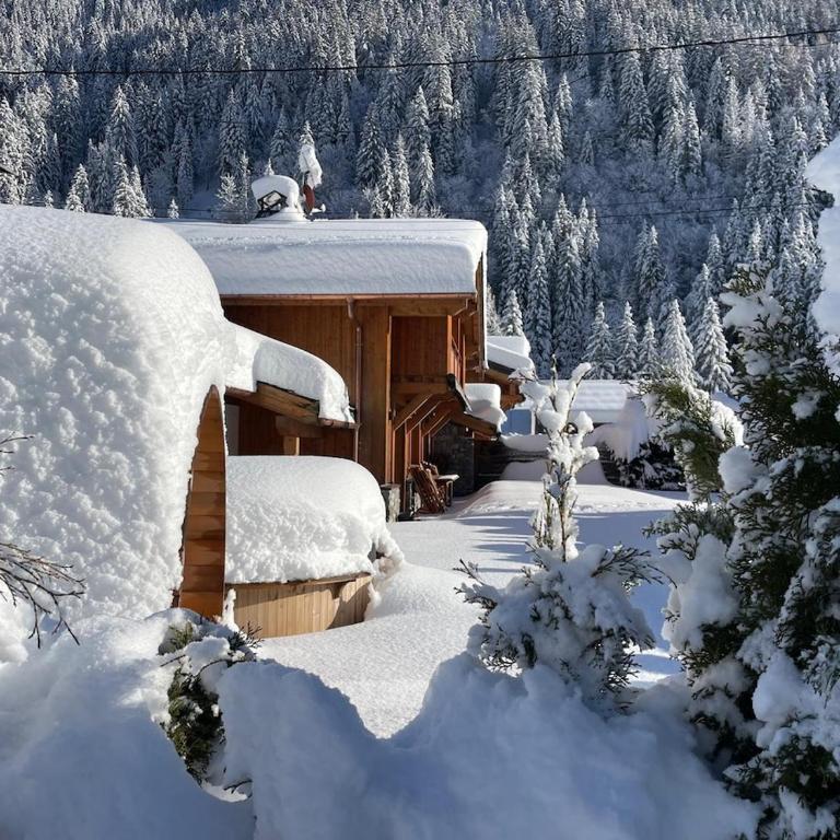 Premium 200sqm Chalet in Chamonix Valley ! - Chalet - 29