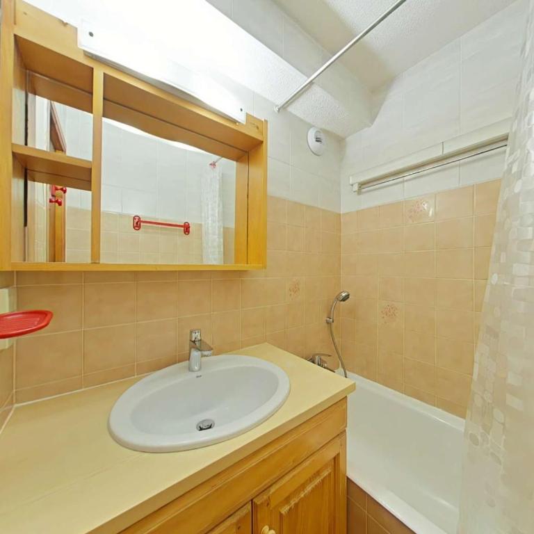 Studio cabine 4 pers avec terrasse et garage, proche navettes ski - Le Grand-Bornand - FR-1-241-242 - Apartamento - 12
