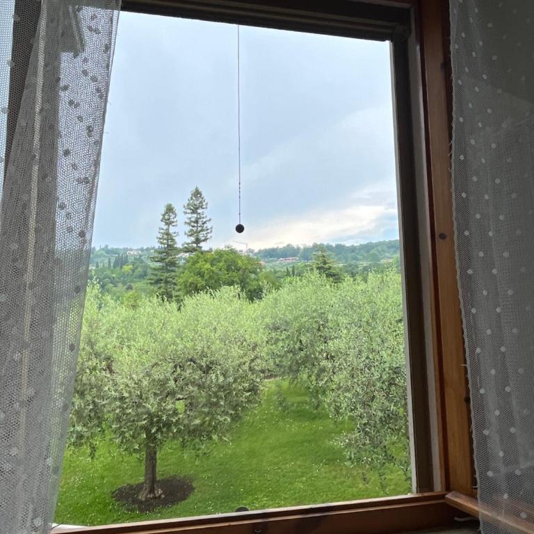 Appartamenti Garda Mulino - Appartamento con 2 Camere da Letto e con Vista - 9