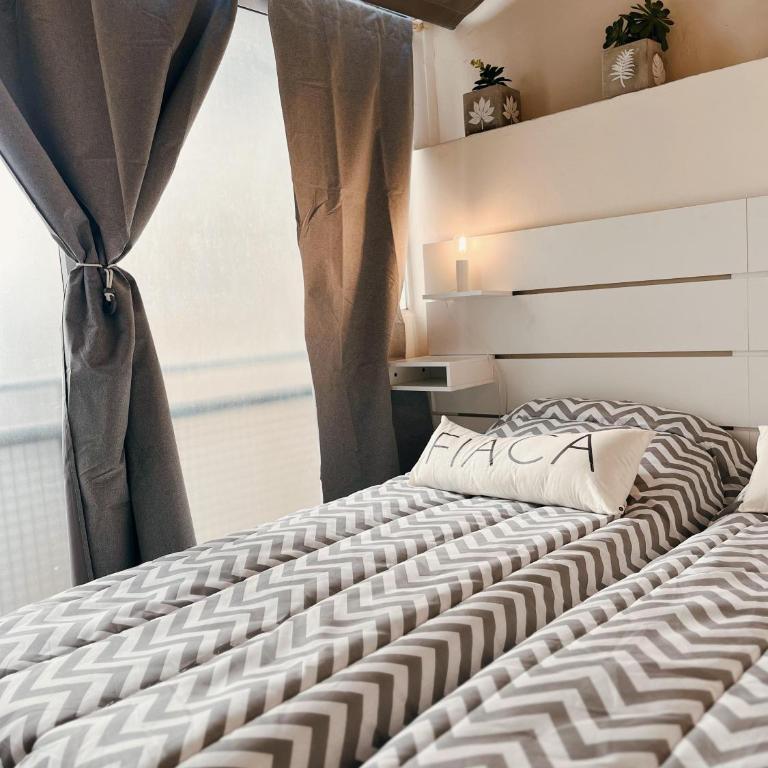 Pacheco Vivo - Apartamento de 1 dormitorio - 4