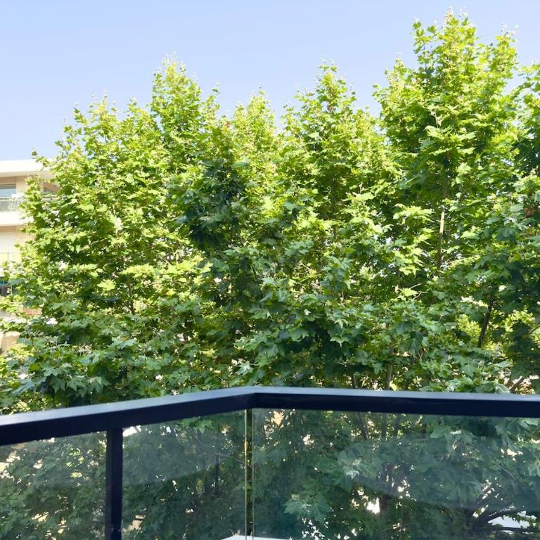 Spacious new studio and terrace - One-Bedroom Apartment - 12