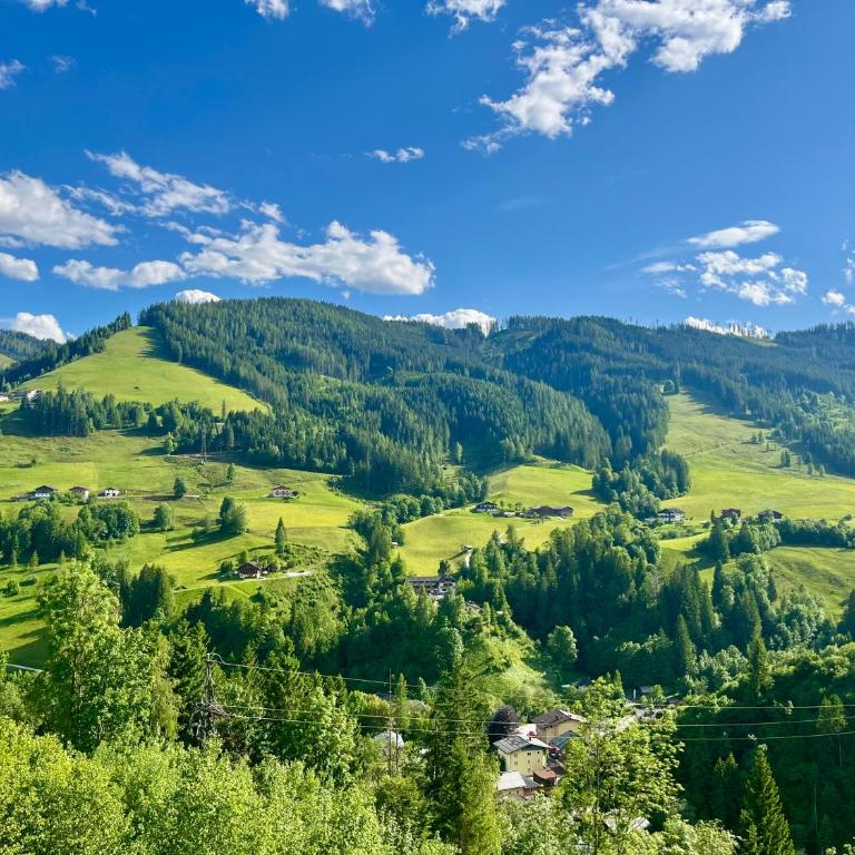 Alpendomizil 2 - Mühlbachblick (A5) - Apartment mit Dusche - 12