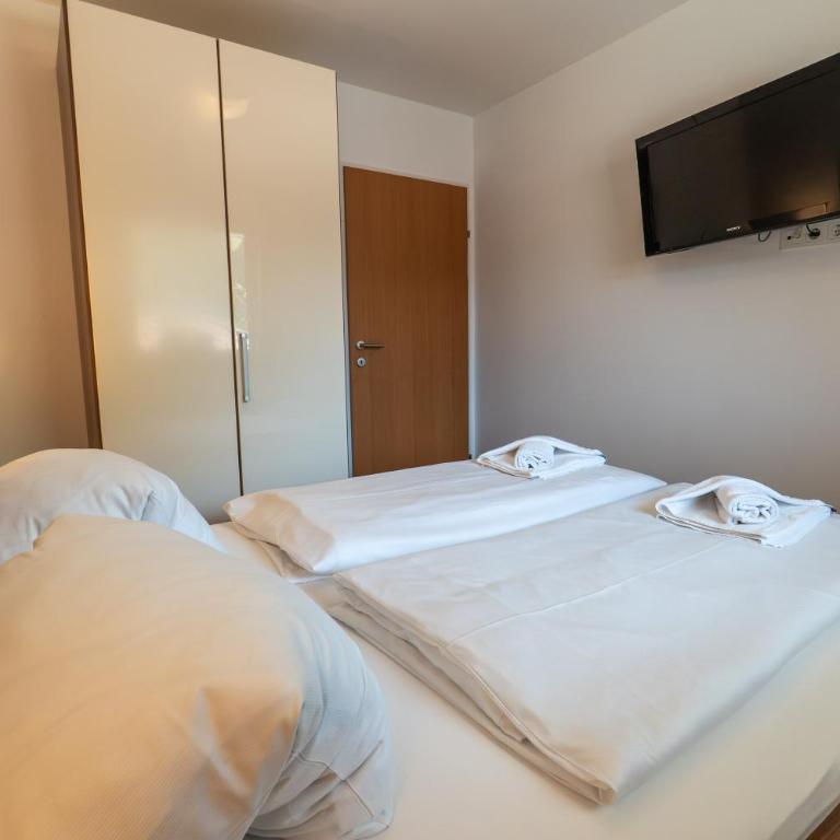 Appartements MaLo by we rent, VIEHHOFEN SUMMERCARD INCLUDED - Apartment mit Blick auf die Berge - 6
