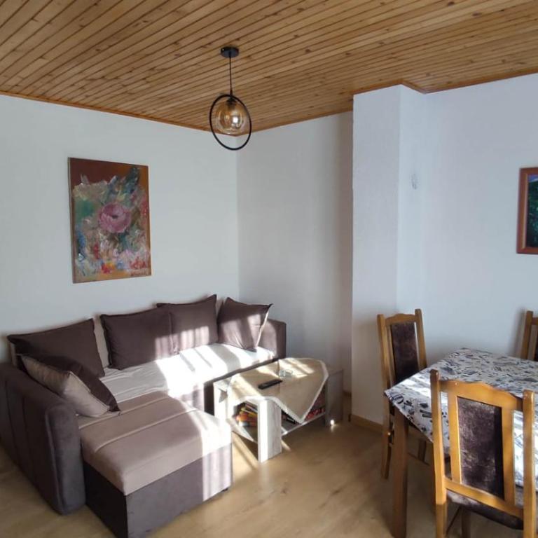 Apartmani Mira Stijepovic - One-Bedroom Apartment - 11
