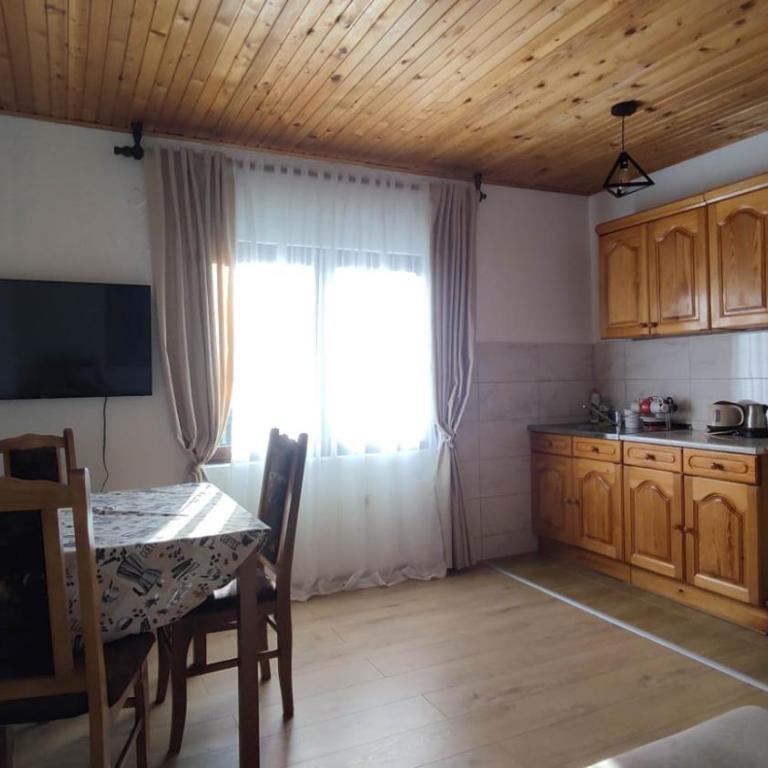 Apartmani Mira Stijepovic - One-Bedroom Apartment - 7