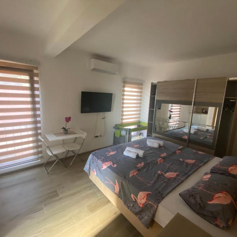 Apartmani Knezevic - Apartment - 3