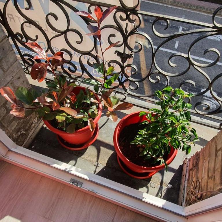 CENTRE VILLE, plusieurs appartements rénovés lumineux dans meme immeuble - Studio - 6