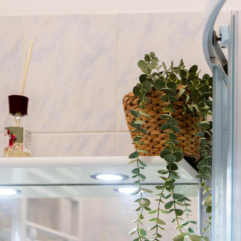Rosa Homes THE GREEN - 2 rooms, air conditioning, Principe, Acquario, Porto Antico - Two-Bedroom Apartment - 23