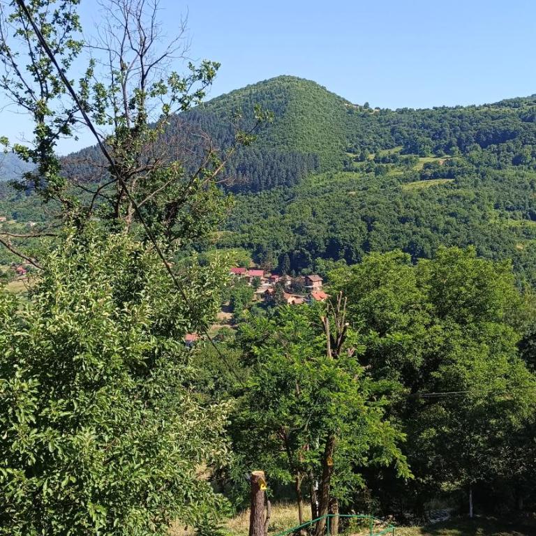 Positive energy - Kuća sa 2 Spavaće Sobe - 3