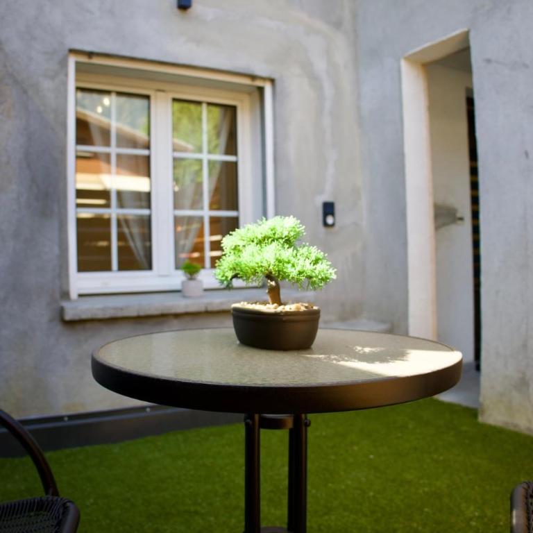 Le Dreamy - Terrasse et parking - Appartement 1 Chambre - 12