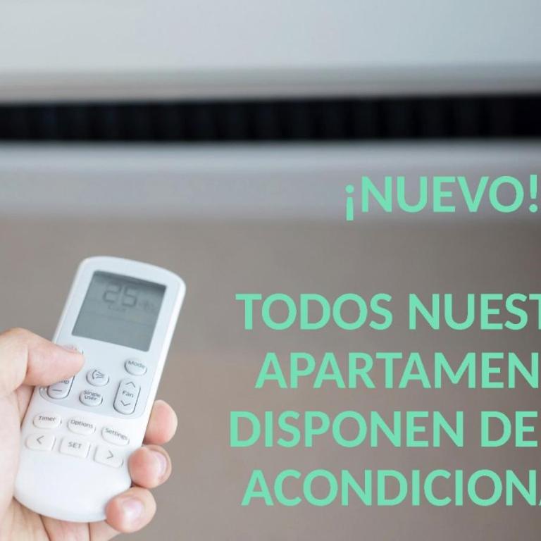 Mayor 17 Apartamento 1 - Apartamento de 1 dormitorio - 2