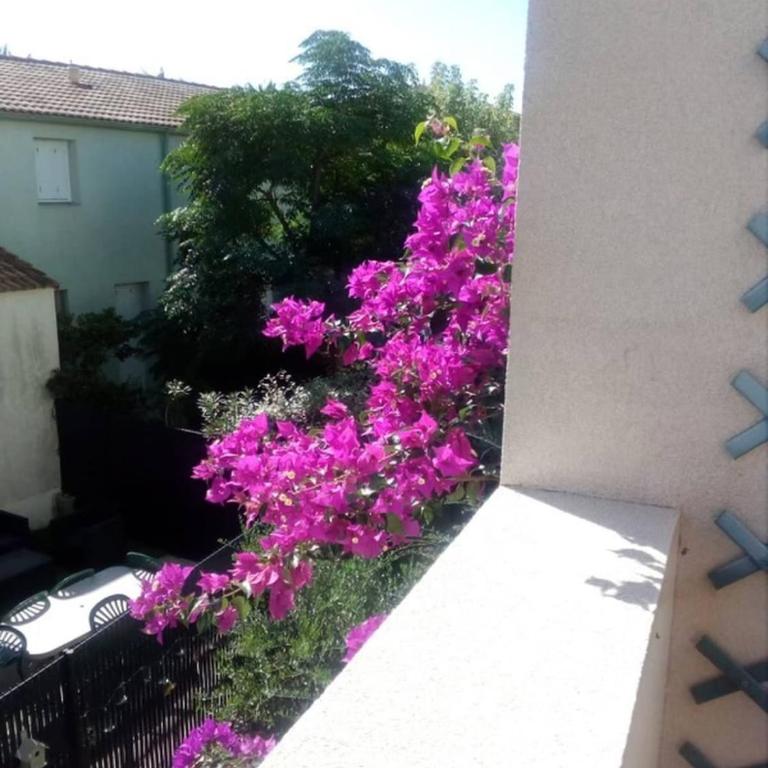 Valras Charme & Mer Proche - Villa - 5
