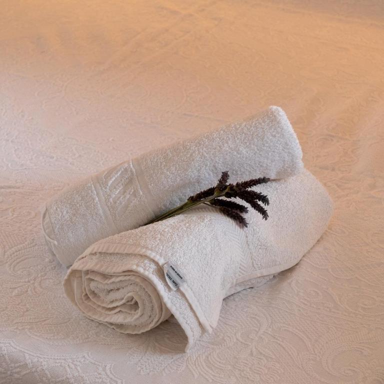 Casina Gargiulo - Alloggi con piscina - Camera Matrimoniale Standard - 16