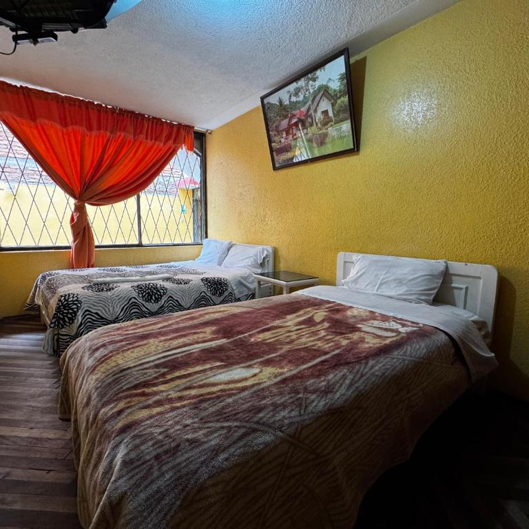 Hotel Jimmy Latacunga - Triple Room with Shared Bathroom - 2
