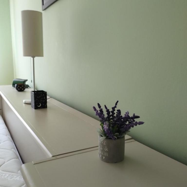 Fair View Apartment - Apartman sa 1 Spavaćom Sobom - 6