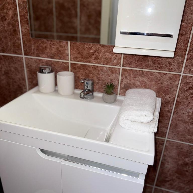 DarViva Apartment Niš, center, private garage parking, river view - Two-Bedroom Apartment - 13