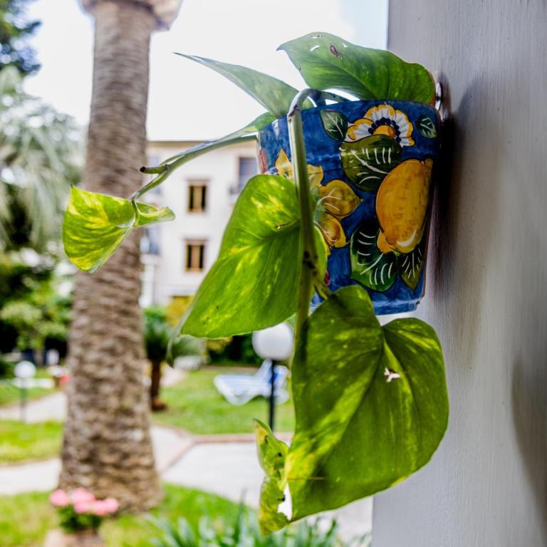 Villa Gilù in Sorrento coast - De Vivo Realty - Three-Bedroom Villa - 100