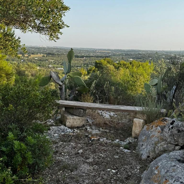 Villa Voliera - Private Infinity Pool with Panoramic Views over the Itria Valley - Villa - 10