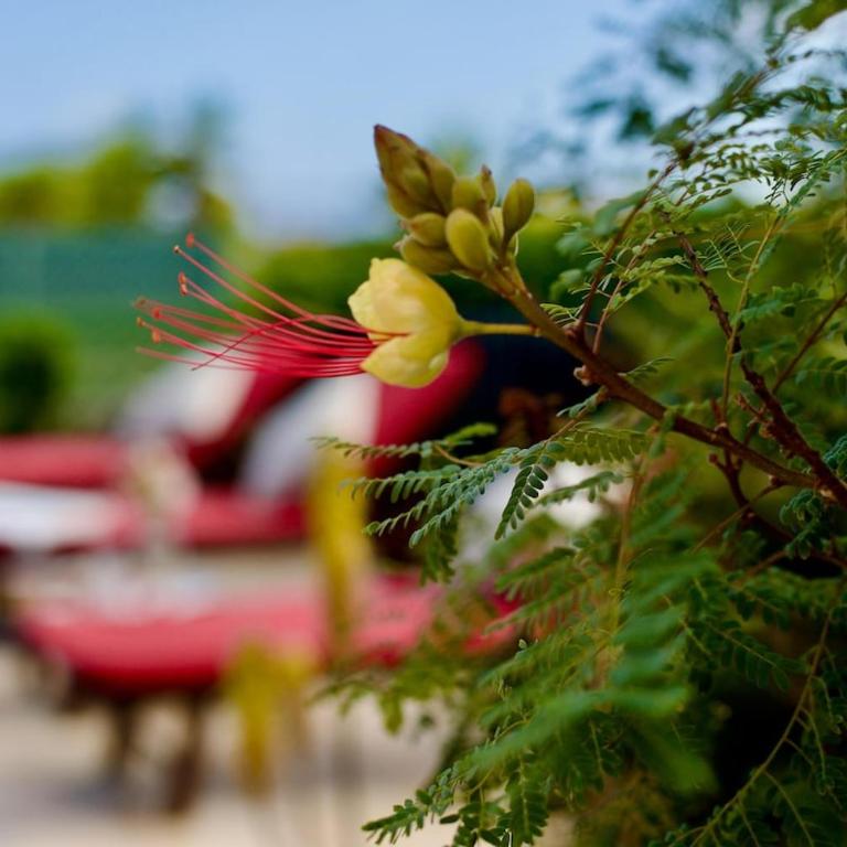 Casa Zeus - No Stress Holidays - Villa - 43