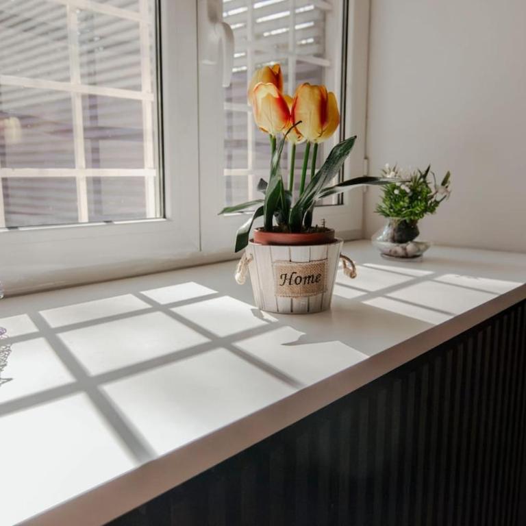 Nice Place appartmento metro Laurentina - Appartamento con 2 Camere da Letto - 17