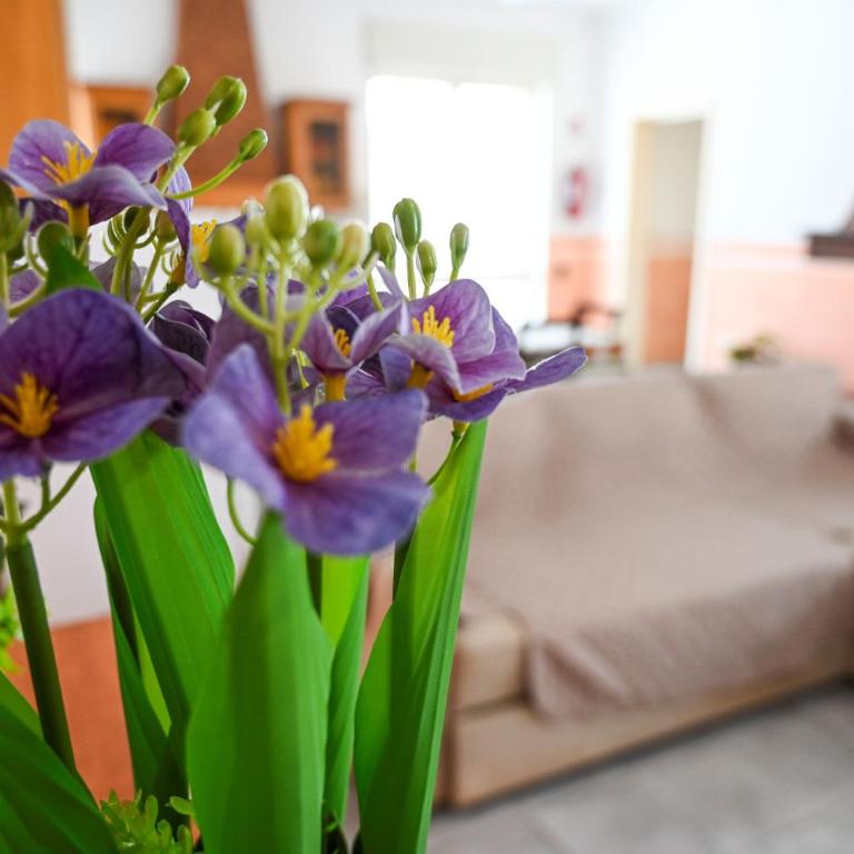 Easylife - Villa vicino al mare a Sant'Isidoro - Appartamento - 10