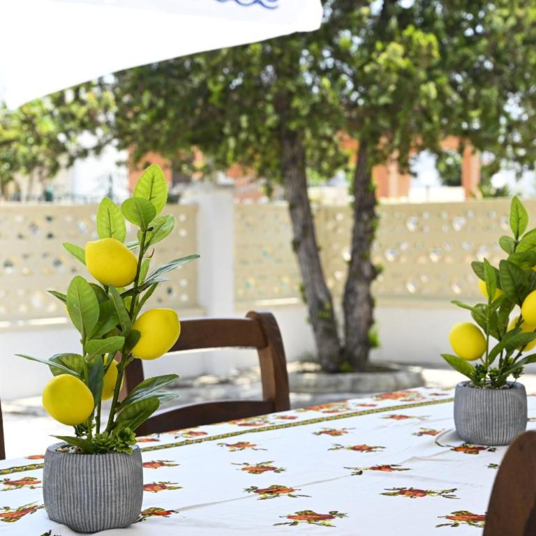 Easylife - Villa vicino al mare a Sant'Isidoro - Appartamento - 37
