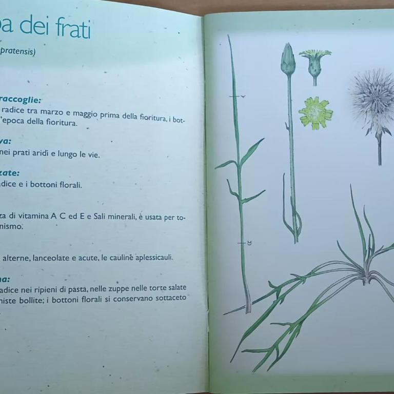 Appartamento La barba del Frate - Appartamento con 1 Camera da Letto - 30