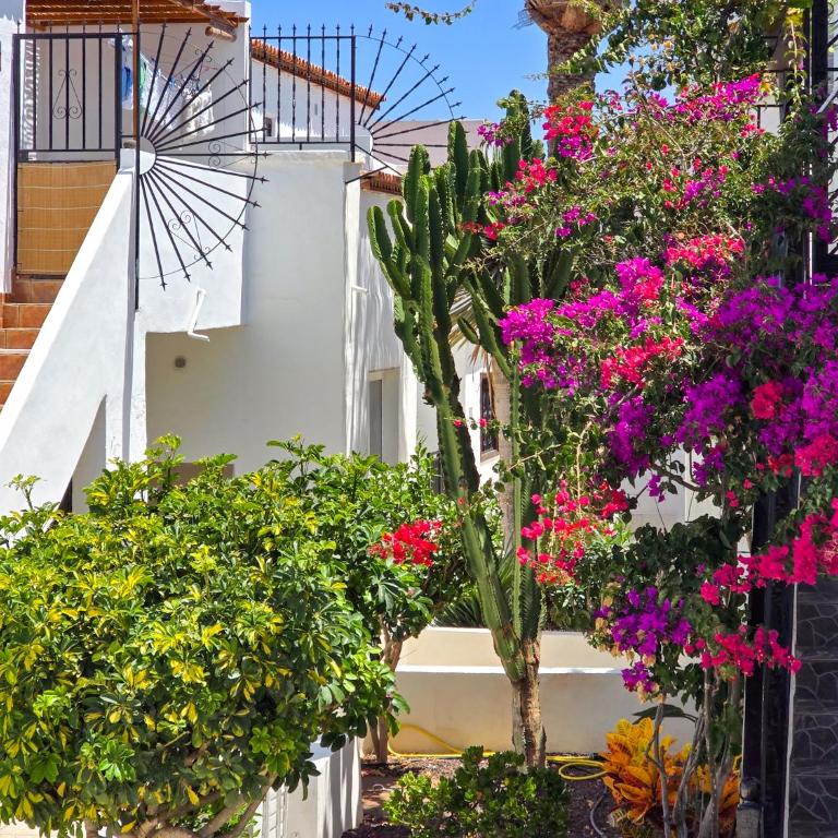 Comfortable Apartment with Pools - Apartamento de 1 dormitorio - 7
