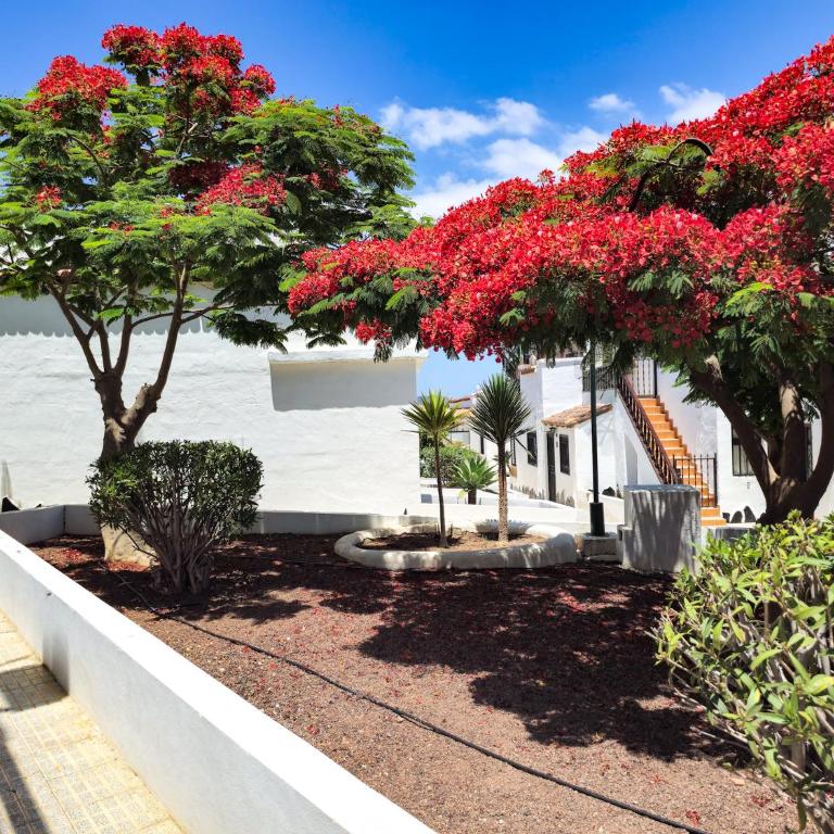 Comfortable Apartment with Pools - Apartamento de 1 dormitorio - 19