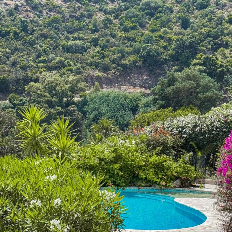 Villa Yasmine Cavalaire - Villa con vistas al mar - 15