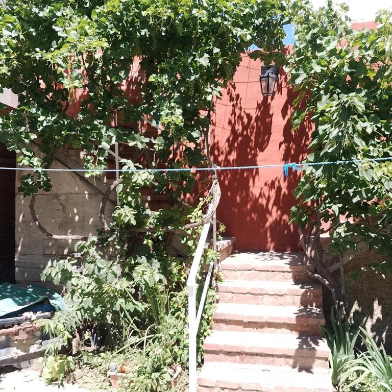 solymar - Apartamento de 1 dormitorio - 7