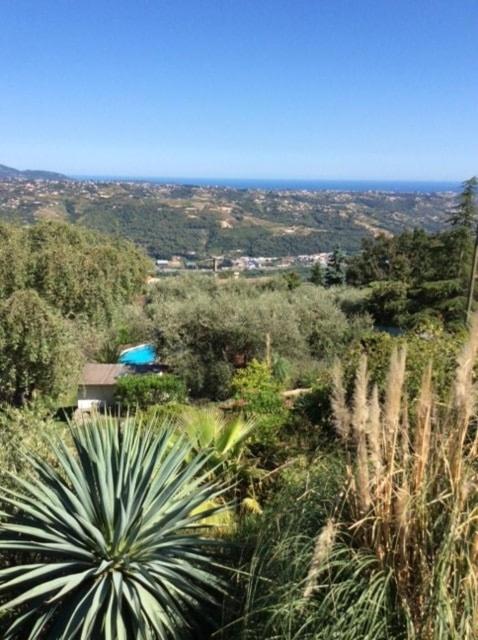 Exceptional Villa with Sea View, Pool & Privacy - Villa - 37