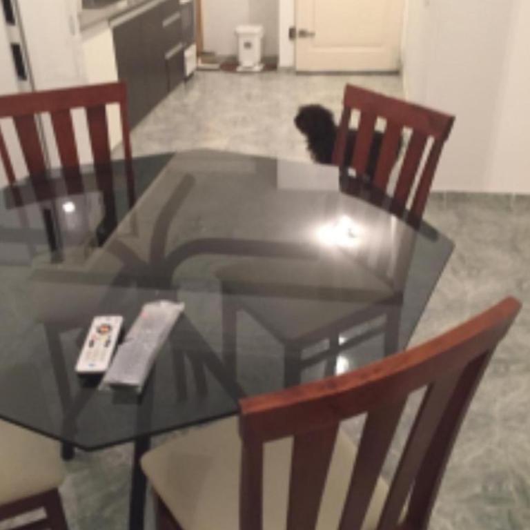 La tana 2 - Apartamento de 1 dormitorio - 1