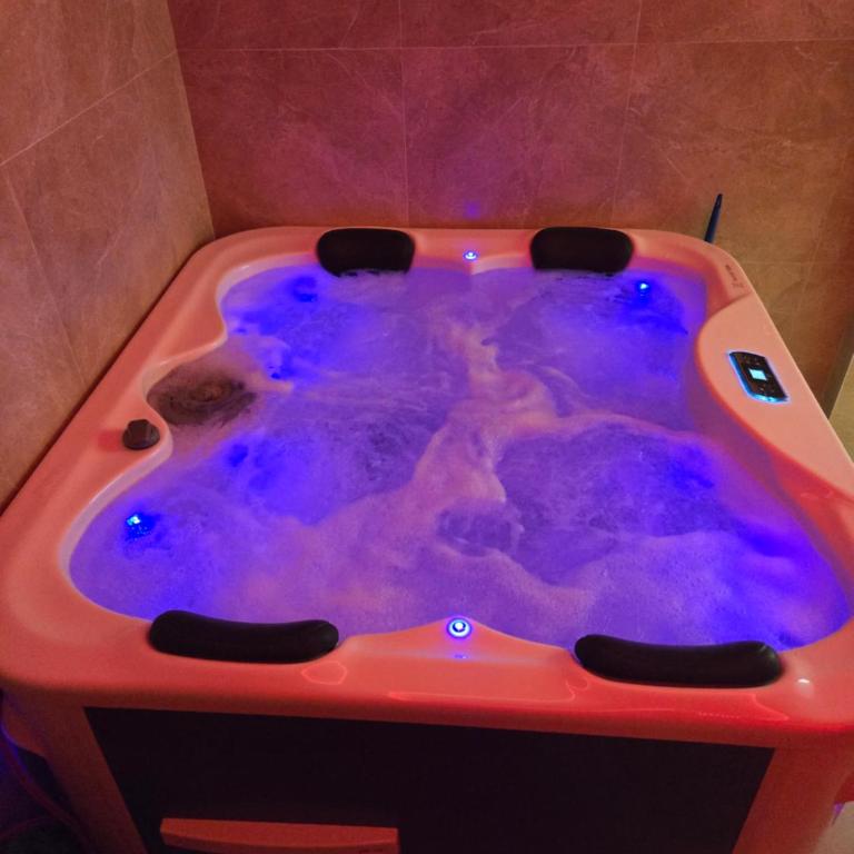 In lux spa apartman 2 - Apartman sa 1 Spavaćom Sobom - 2