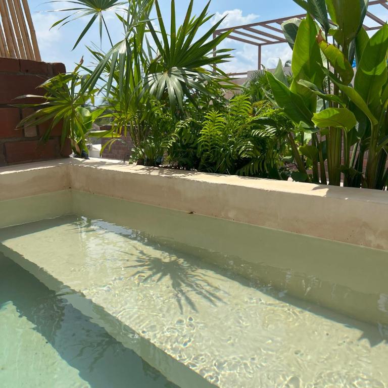 Casa Xaviera - Suite Familiar Deluxe - 5