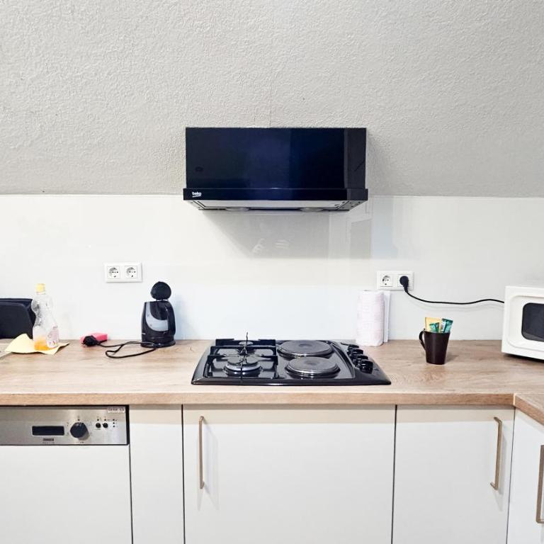 Apartments HAN 2 Sarajevo - Apartman sa Pogledom na Grad - 13