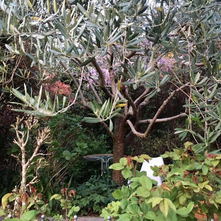 Cav di Gianfranco - Appartamento con Vista Lago - 35