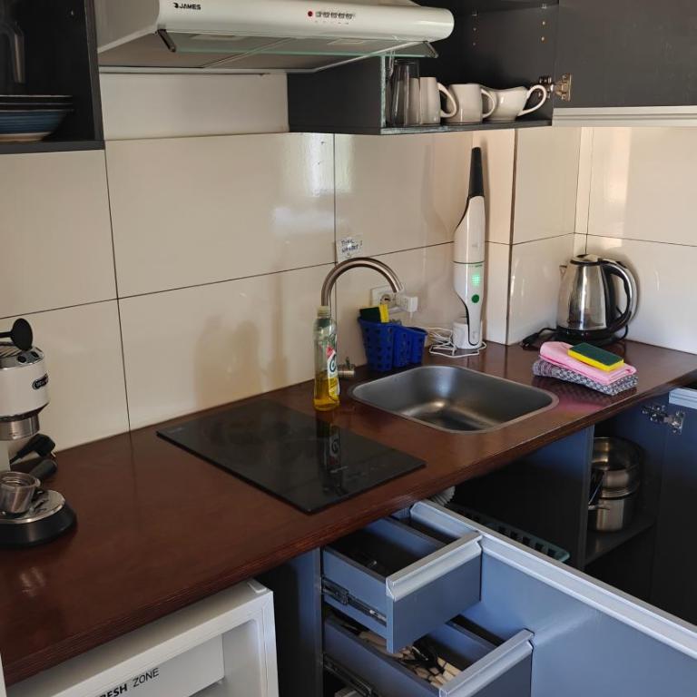 Casa Nathan! 2 Zimmer, Internet, Küche, Cosina, Parking, Lavanderia, Sauna! Barrio Esperanza! Central! - Two-Bedroom Apartment with Garden View - 10