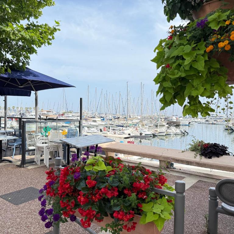 Beach Studio in Golfe-Juan near Cannes and Antibes - Appartement - Vue sur Mer - 32