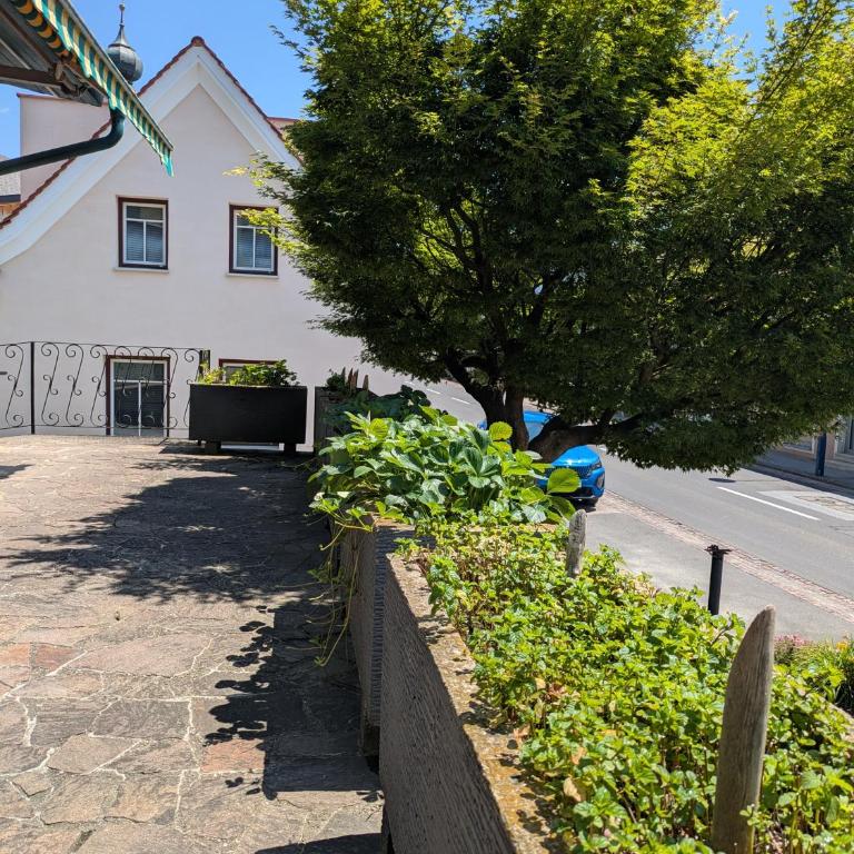 Appartments am Literaturbrunnen - Appartement 2 Chambres - 32