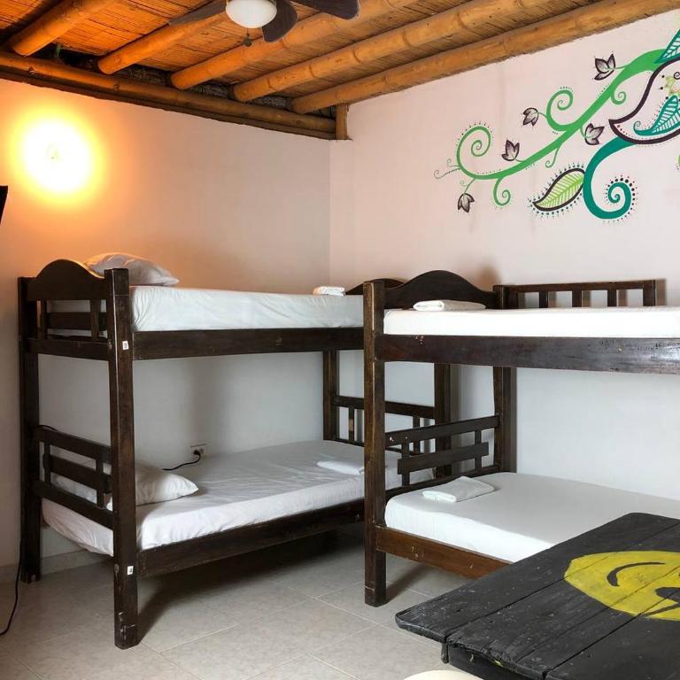 La Tortuga Hostel - Cama en habitación compartida con 4 camas - 5