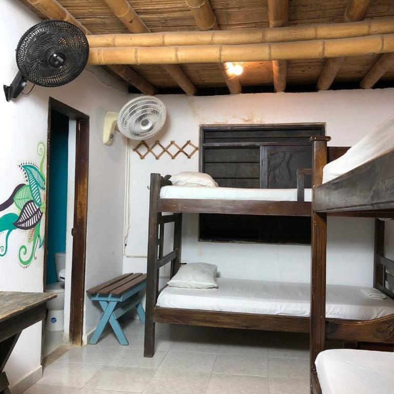 La Tortuga Hostel - Cama en habitación compartida con 4 camas - 6